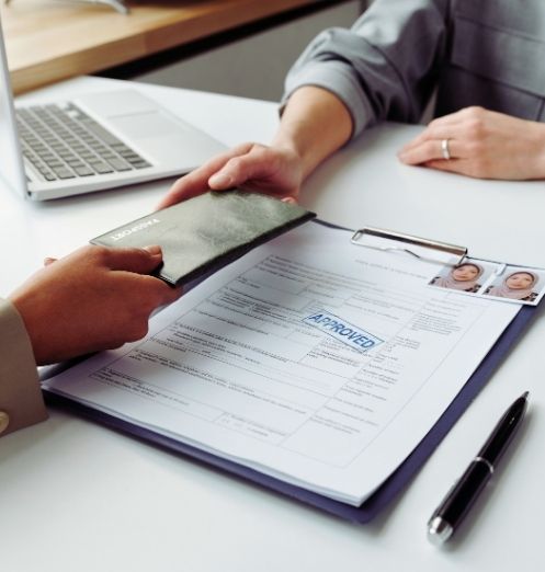 employer sponsored Visa